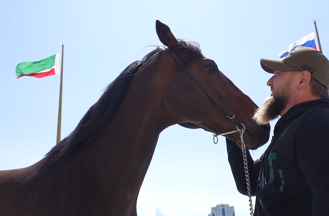 Кадыров рассказал, как ничего не заплатил СБУ за возвращение его коня Зазу