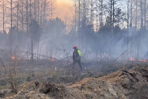 В МЧС предупредили о сезоне пожаров по всей России