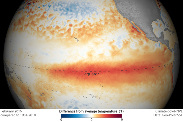 Эль-Ниньо в Тихом океане в 2016 году. Фото © Национальное управление исследования атмосферы и океанов США