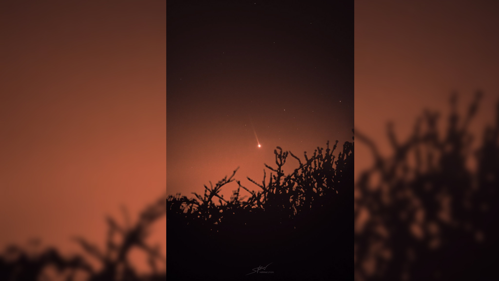 Меркурий с кометоподобным хвостом. Фото © Twitter / SETI institute