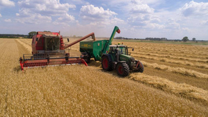 Еврокомиссия запретила экспорт зерна с Украины в пять стран Восточной Европы