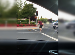 Американец помог утятам перейти дорогу и погиб под колёсами спорткара