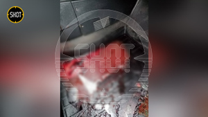 Автомобиль пары из белгородского села Глотово, обстрелянный украинскими диверсантами. Фото © t.me / SHOT