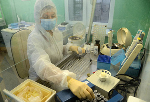 Обнаруженный в России птичий грипп признали не опасным для человека