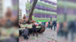 В Амстердаме засыпали цветами российский танк. Фото © Twitter / sheikhsimon0077