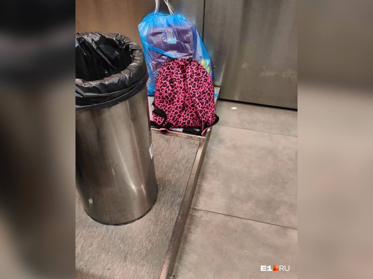 Рюкзак, в котором оставили в аэропорту Кольцово кошку-сфинкса. Фото © VK / Круглосуточные новости Екатеринбурга E1.ru