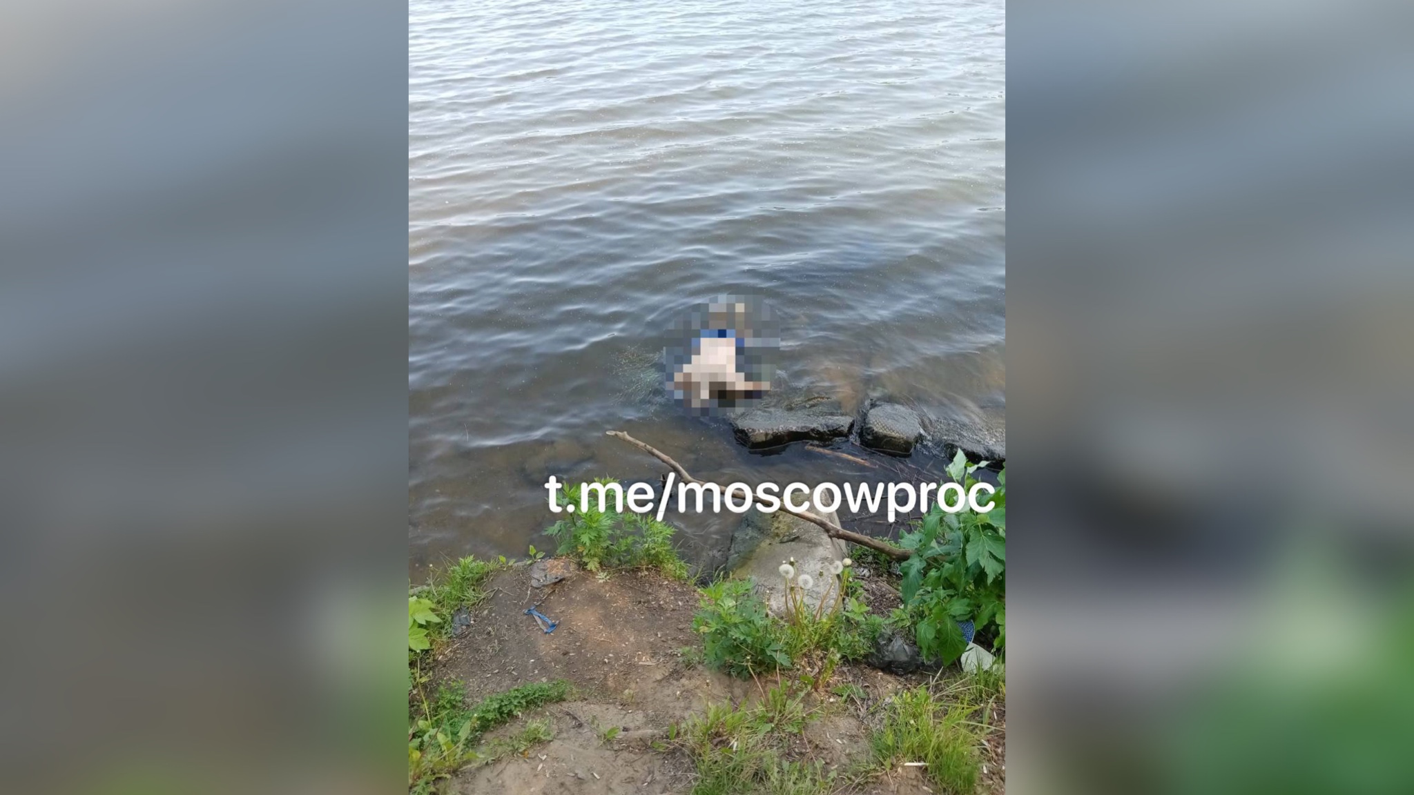 Обнаруженное в Москве-реке тело. Фото © Telegram / ПРОКУРАТУРА МОСКВЫ