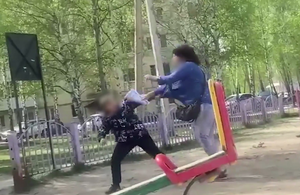 В ХМАО дама с собачкой избила школьника на детской площадке