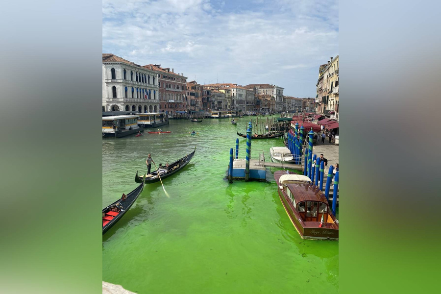 Вода Большого канала в Венеции поменяла цвет. Обложка © Twitter / Gigadesires