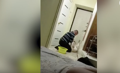 Во Владивостоке волонтёры нашли мужчину, жестоко избивавшего собаку в квартире