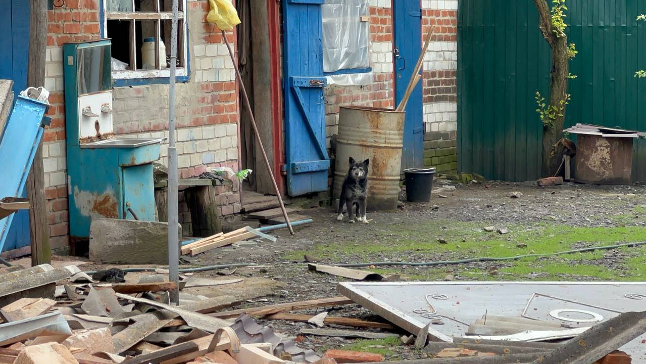 Гладков: Не менее пяти ДРГ атаковали Белгородскую область с начала СВО