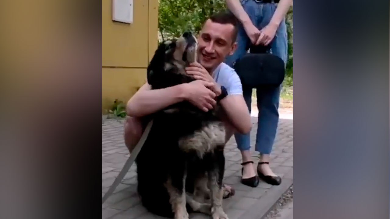 Росгвардейцы спасли упавшую в канализационный люк собаку в Липецке