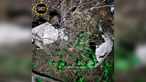 Воронка от упавшего в Подмосковье беспилотника. Фото © SHOT