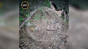 Воронка от упавшего в Подмосковье беспилотника. Фото © SHOT