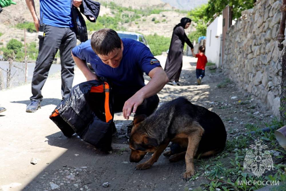 В Дагестане собаку-робинзона спасли с 