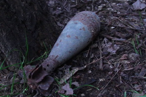 В Орловской области умерший пенсионер оставил "в наследство" 140 мин времён ВОВ