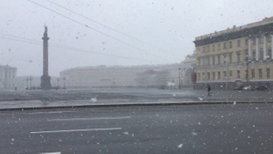 В Санкт-Петербурге выпал снег