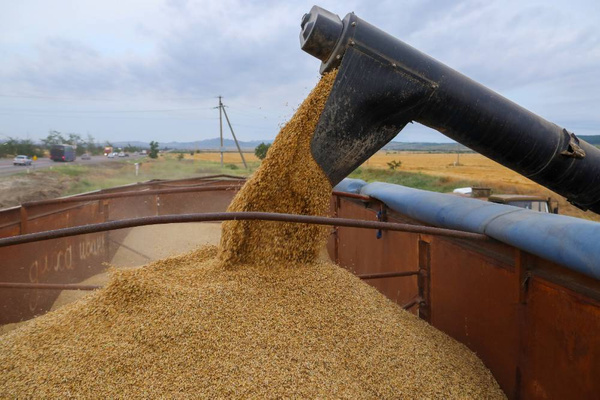 В МИД РФ подтвердили, что скоро состоится встреча по зерновой сделке