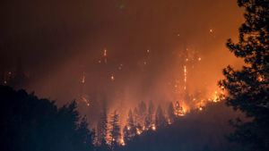 Россиянам перечислили скрытые и опасные последствия для здоровья от лесных пожаров