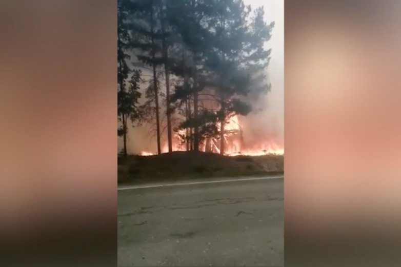 Площадь лесных пожаров в Свердловской области увеличилась до 33 тысяч гектаров