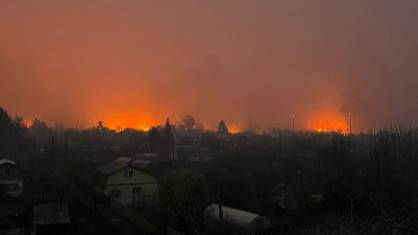 В Курганской области при пожаре погибло три человека