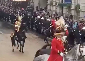 Во время коронации Карла III лошадь гвардейца едва не затоптала зрителей