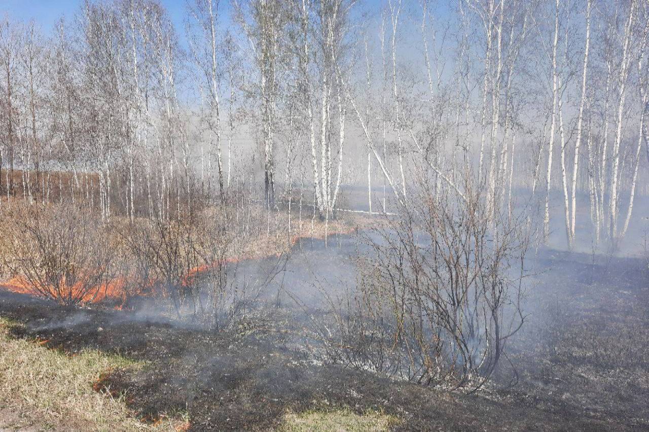 В Тюменской области из-за лесных пожаров начали эвакуировать людей