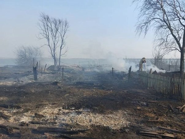 В Омской области из-за лесных пожаров ввели режим ЧС