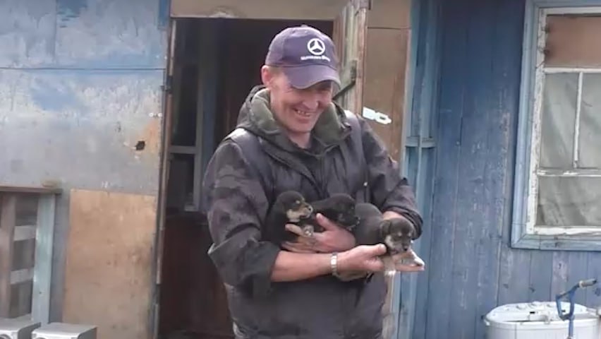 Доброволец из кузбасского посёлка ищет хозяев 18 собакам перед уходом на фронт