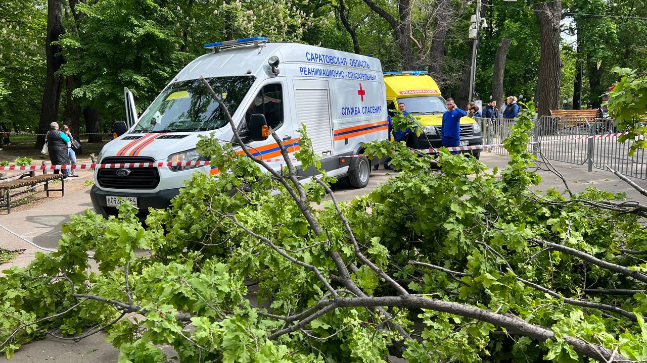 Рухнувшее дерево убило женщину и ребёнка в парке Саратова