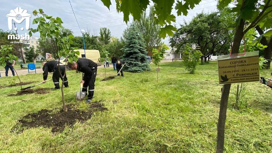 Бывшие военные ВСУ высадили деревья в Луганске. Фото © Telegram / Mash на Донбассе