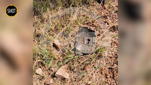 Сбитым под Калугой беспилотником оказался советский Ту-141 "Стриж"