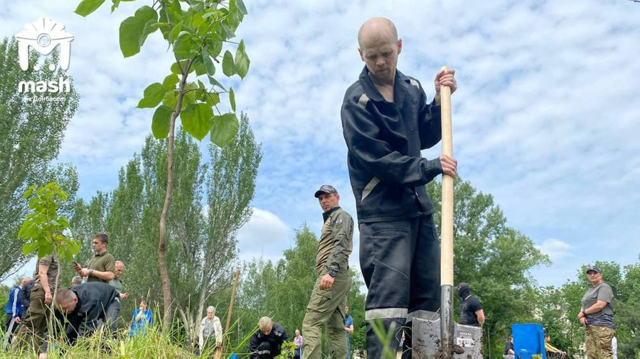 Бывшие бойцы ВСУ высадили деревья в Луганске в память о детях – жертвах военных преступлений Украины. Фото © Telegram / Mash на Донбассе