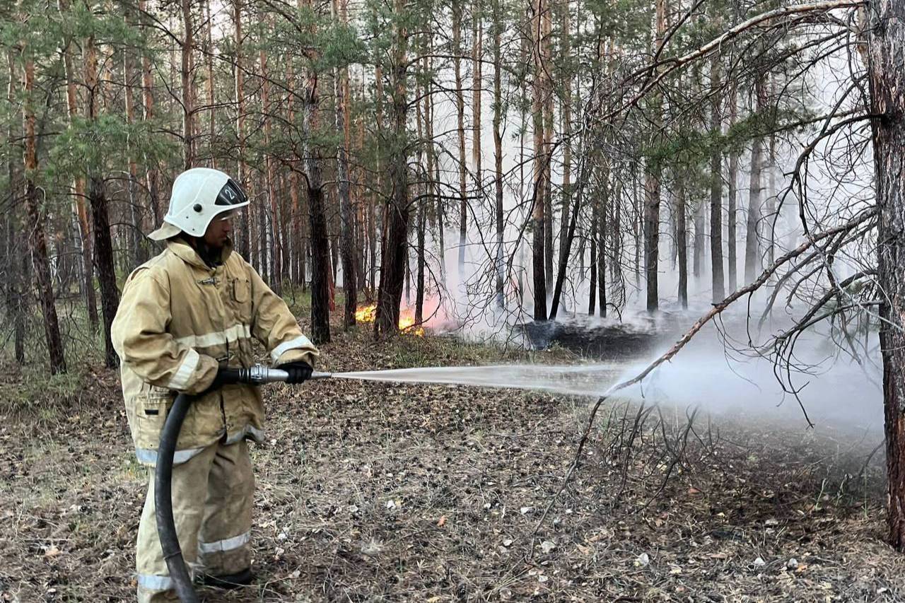 Путин выразил соболезнования Токаеву из-за лесных пожаров в Казахстане