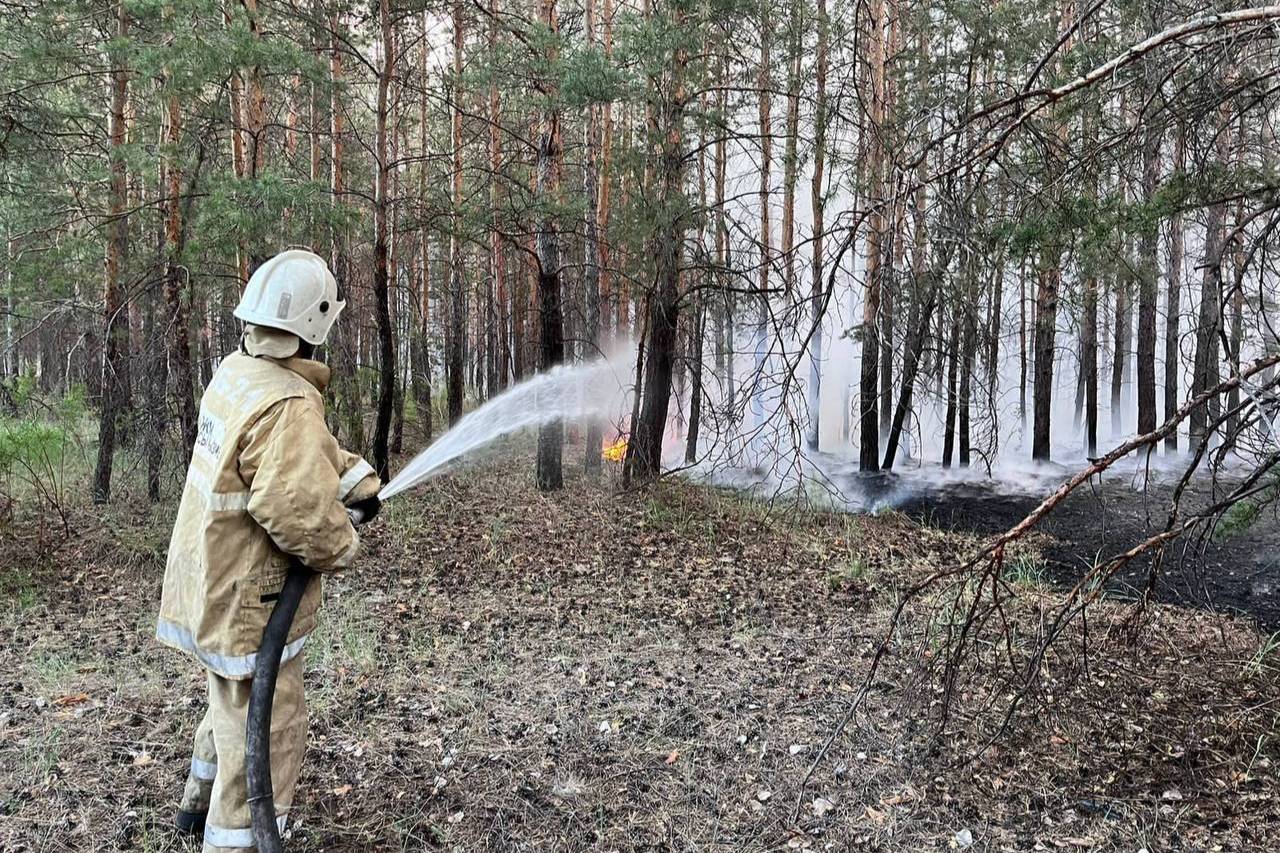 14 человек стали жертвами разрушительного лесного пожара в Казахстане