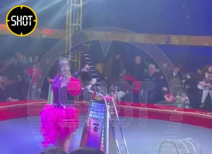 СК задержал директора цирка в Ленобласти, где обрушилась трибуна с людьми