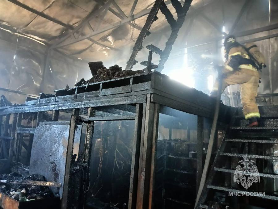 Спасатели ликвидируют пожар в складском помещении деревообрабатывающего цеха. Фото © Telegram / ГУ МЧС РФ по Хабаровскому краю