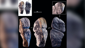 Древнейшее изображение фаллоса в Евразии помогло археологам прийти к важному выводу
