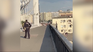 Девушка чуть не упала с Крымского моста, пока спасатели снимали мужчину с его верхушки