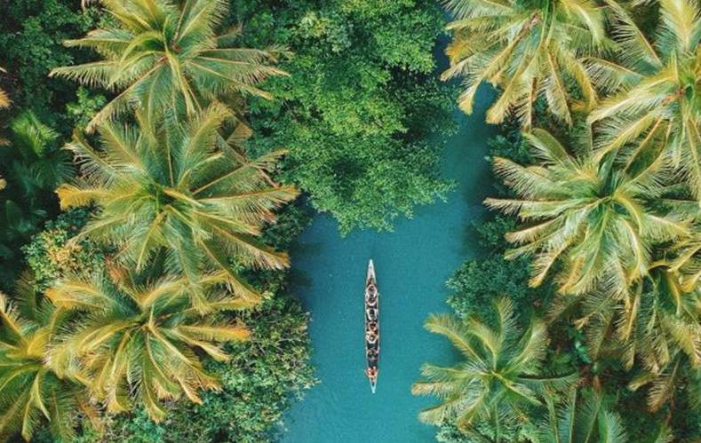 29 июня отмечается Международный день тропиков. Фото © ООН / ФАО