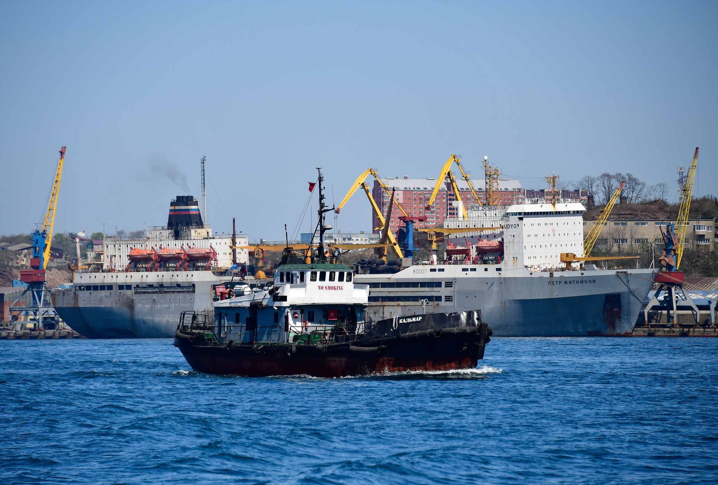 25 июня 2023 года отмечается День моряка. Фото © ТАСС / Юрий Смитюк