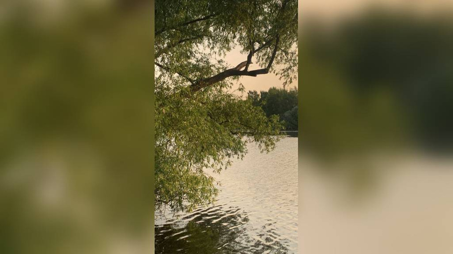 Водоём в посёлке Рублёво, где утонул 15-летний подросток. Фото © Telegram / Прокуратура Москвы