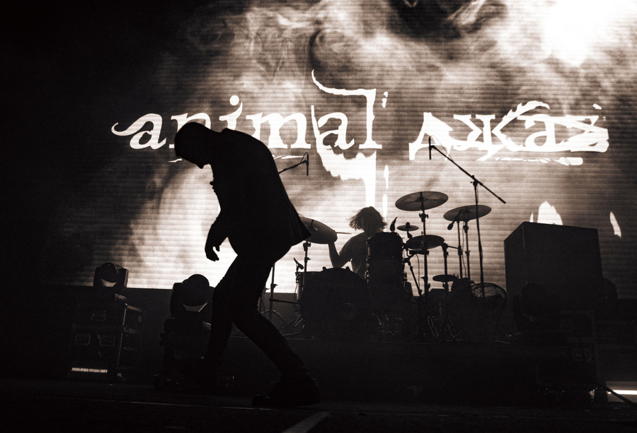 Концерт группы Animal ДжаZ. Обложка © VK / Animal ДжаZ