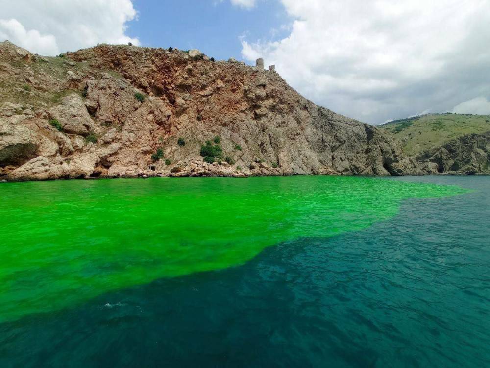 В Балаклавской бухте в Крыму обнаружили огромное зелёное пятно