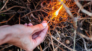 В Курганской области пара пыталась сжечь соседку с внуками за вытоптанный огород