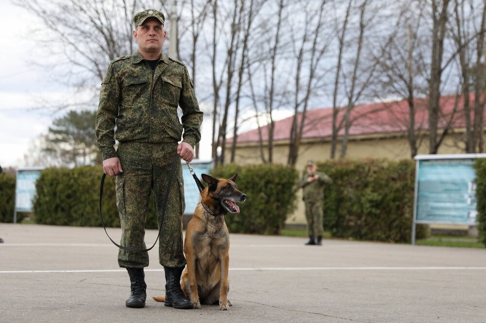 В России практиковать службу собак в полиции начали с 1906 года. Фото © Агентство "Москва" / Кирилл Зыков