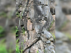 Древние писаницы уссурийских племён в Хабаровском крае. Фото © КГБУ "Центр ОПИК"