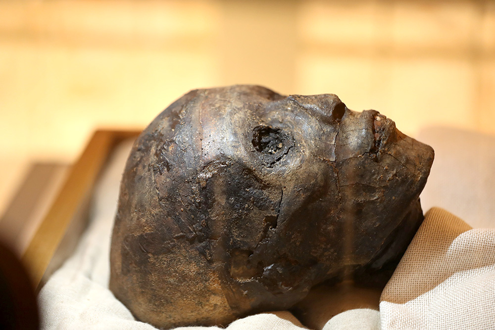 Мумифицированный череп Тутанхамона Фото © ТАСС / Xinhua via ZUMA Wire / Ahmed Gomaa