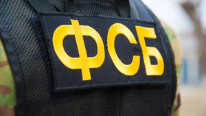Украинка-шпионка задержана за госизмену при сборе сведений о военных объектах России