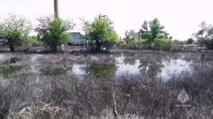 Сальдо заявил об экокатастрофе в нижнем течении Днепра после разрушения ГЭС